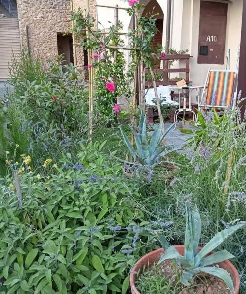 Ferienwohnung A10 Nel Borgo- Con Giardino Vista Mare Guardistallo Exterior foto